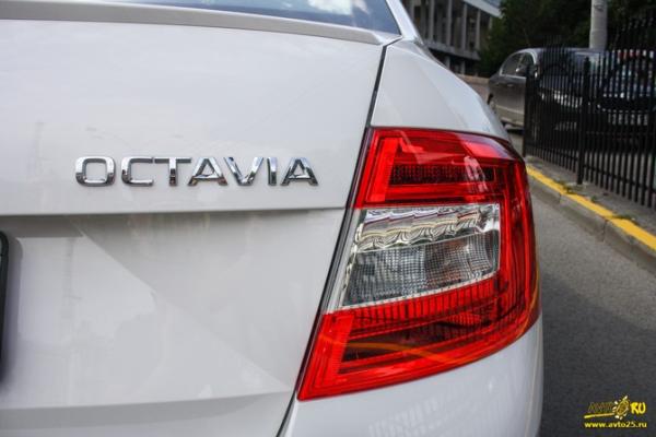 Баланс белого: Тест-драйв Skoda Octavia